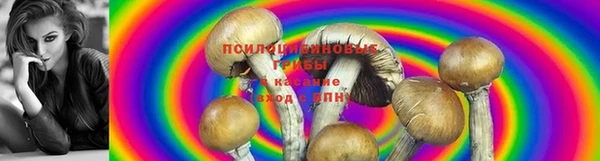 2c-b Каменногорск