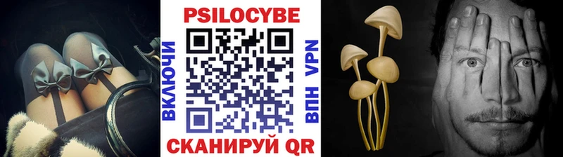 Купить  Феодосия  Псилоцибиновые грибы мицелий 
